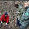 Gennaio 2011 immagini &quot;Ritrovamento carcassa di lupo&quot;